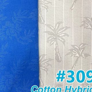 Cotton Hybrid No. 11
